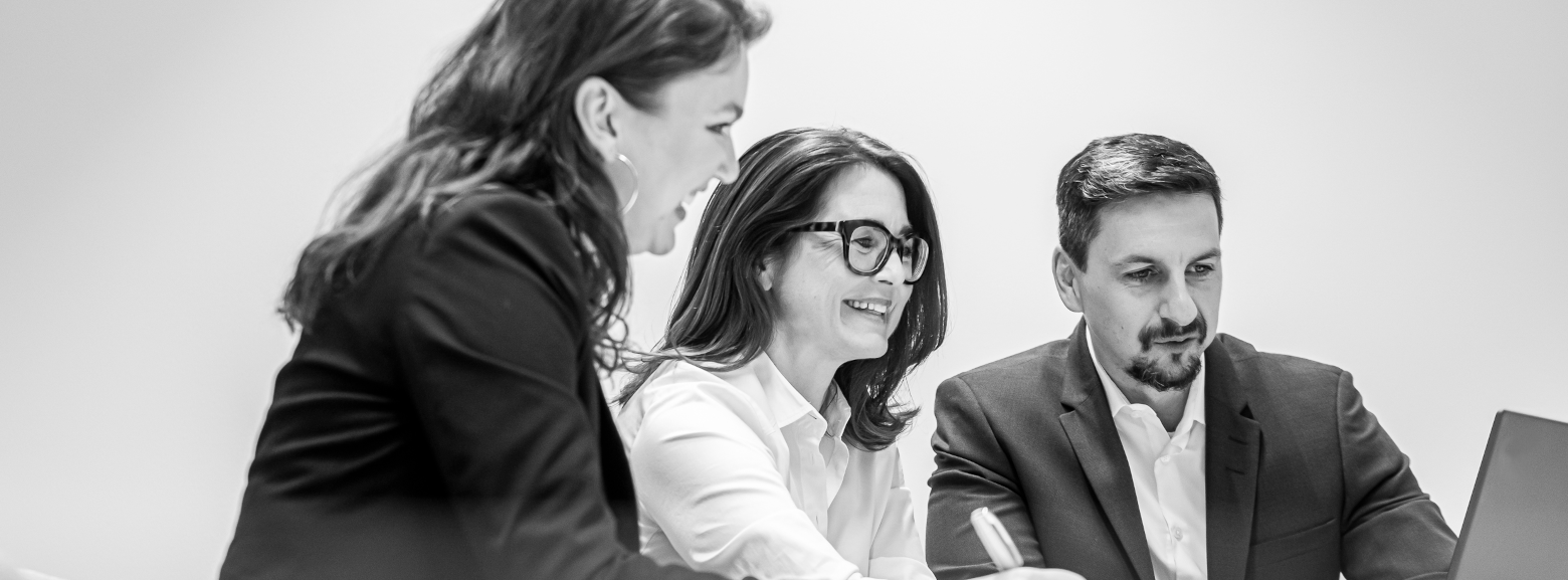 Systemische Organisationsentwicklung im twinnovativ Team