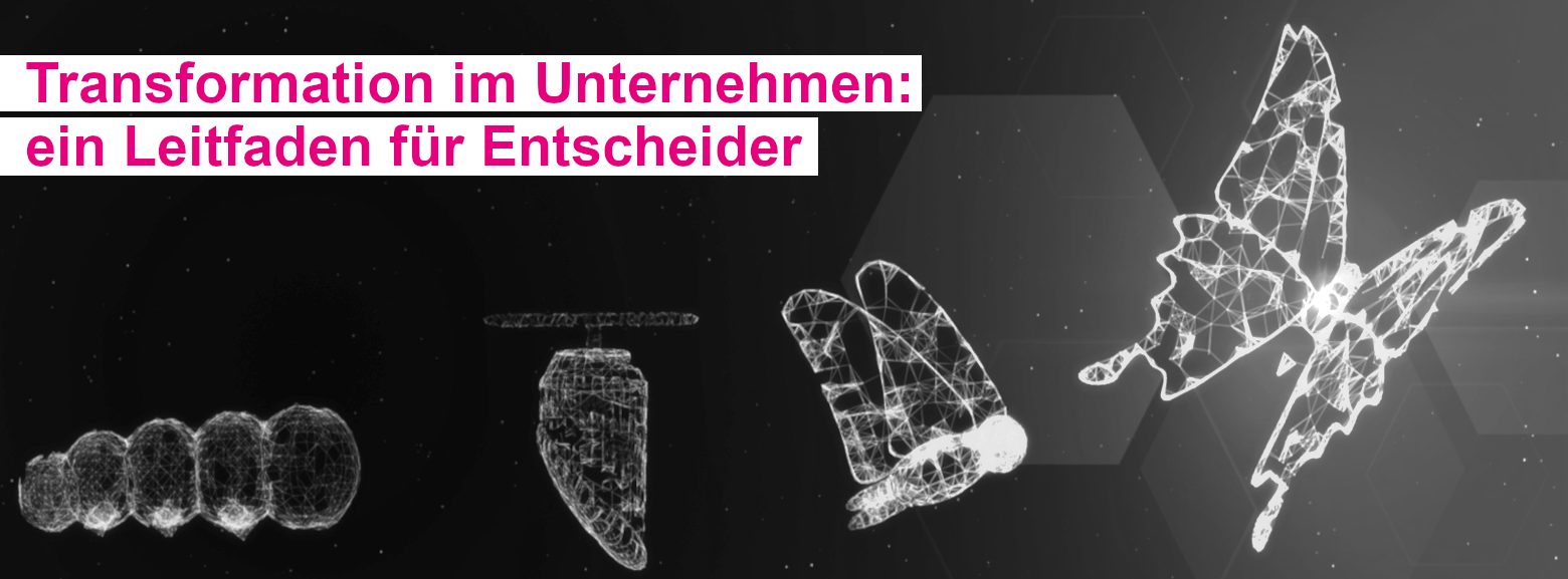 Raupe transformiert zu einem Schmetterling, digitalisierte Ansicht, Text: Transformation im Unternehmen - ein Leitfaden für Entscheider