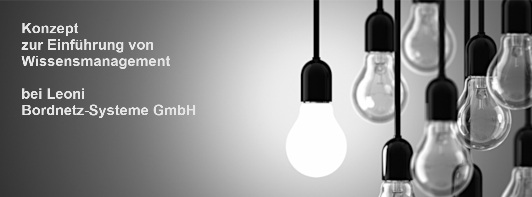 Konzept zur Einführung von Wissensmanagement bei LEONI Bordnetz-Systeme GmbH