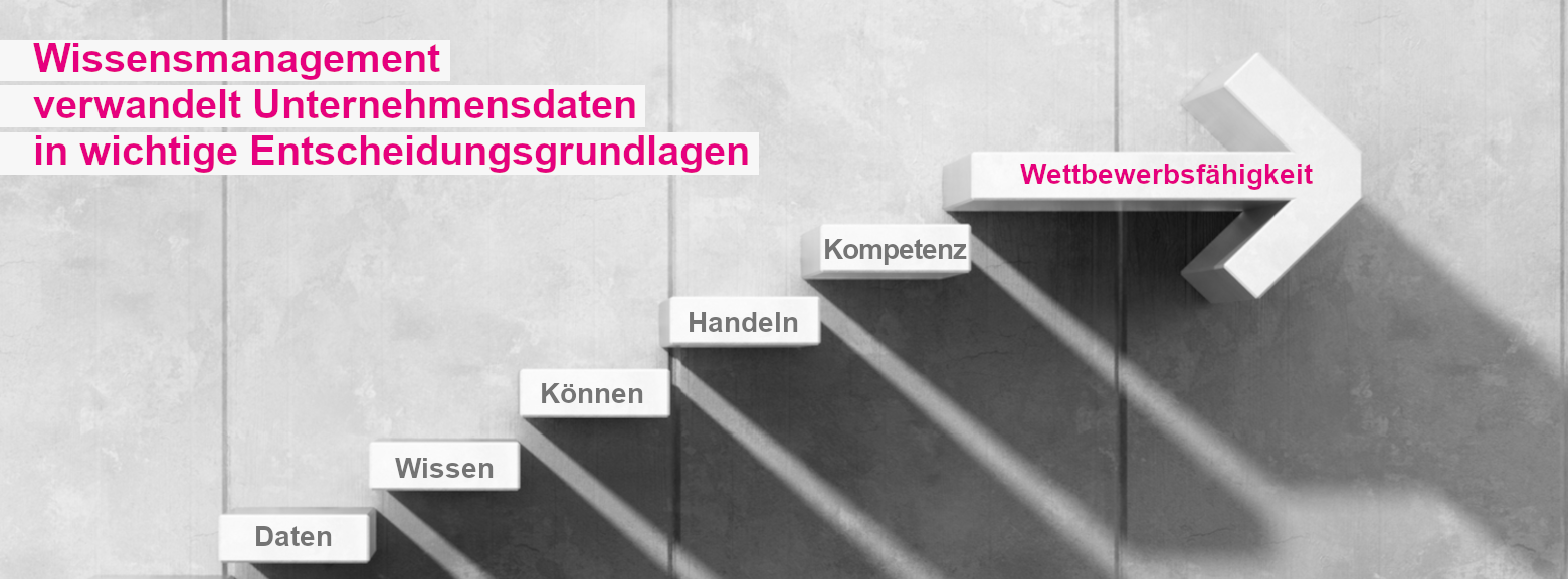 Wissensmanagement verwandelt Unternehmensdaten in wichtige Entscheidungsgrundlagen - Wissenstreppe