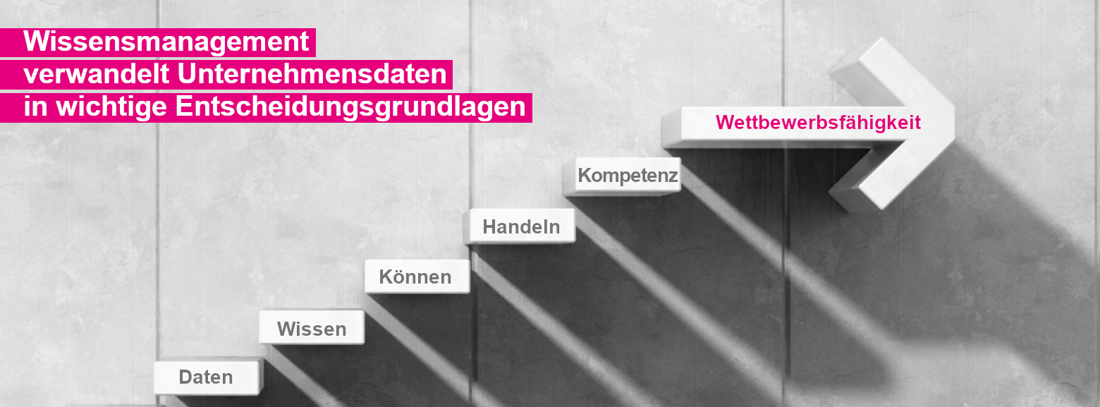 Wissensmanagement verwandelt Unternehmensdaten in wichtige Entscheidungsgrundlagen - Wissenstreppe